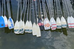 A4634C2D-C7C3-432E-8246-8C0AA5340B01