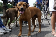 kinderregatta2018_42