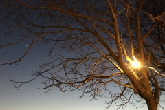 wintergrillen2018_28